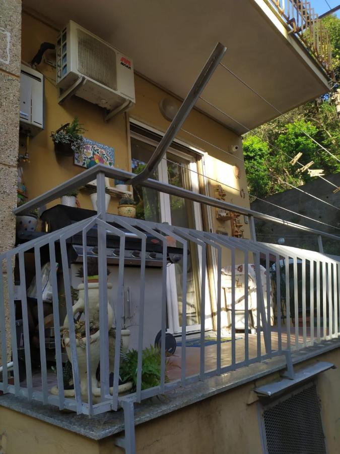 Oparavisegenova Екстер'єр фото